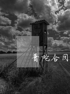 普陀合同推荐律师在线 普陀合同推荐律师在线