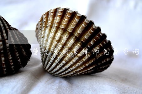 普陀合同案律师免费咨询 普陀合同案律师免费咨询