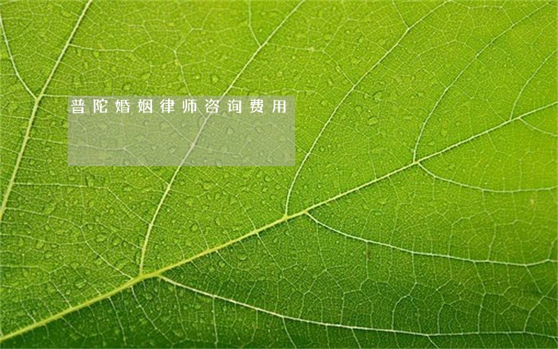 普陀婚姻律师咨询费用