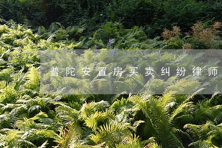 普陀安置房买卖纠纷律师推荐 普陀安置房买卖纠纷律师推荐