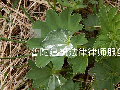 普陀建筑法律律师服务 普陀建筑法律律师服务