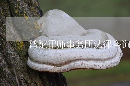 普陀律师事务所法律咨询 普陀律师事务所法律咨询