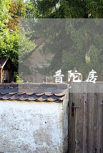 普陀房产纠纷律师哪个好