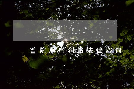 普陀房产纠纷法律咨询 普陀房产纠纷法律咨询