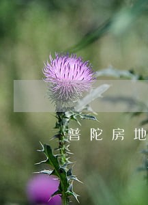 普陀房地产买卖合同律师 普陀房地产买卖合同律师