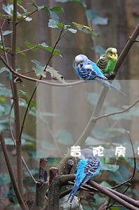 普陀房地产企业法律咨询 普陀房地产企业法律咨询