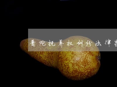 普陀抚养权纠纷法律咨询 普陀抚养权纠纷法律咨询