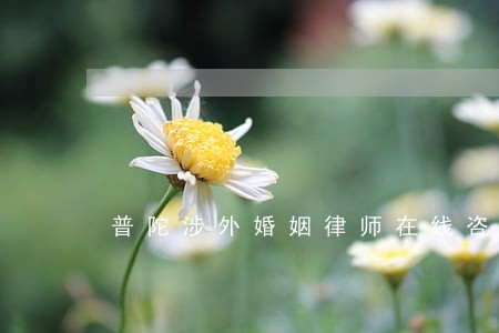 普陀涉外婚姻律师在线咨询 普陀涉外婚姻律师在线咨询