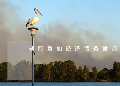 普陀真如经济债务律师 普陀真如经济债务律师