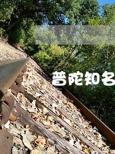 普陀知名商铺买卖律师 普陀知名商铺买卖律师