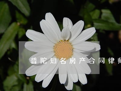 普陀知名房产合同律师 普陀知名房产合同律师