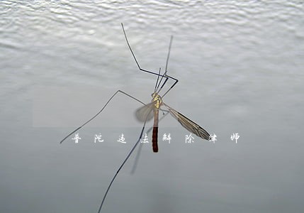 普陀违法解除律师