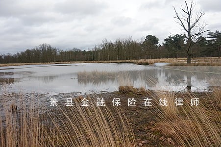 景县金融保险在线律师 景县金融保险在线律师