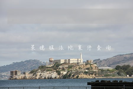 景德镇法院案件查询