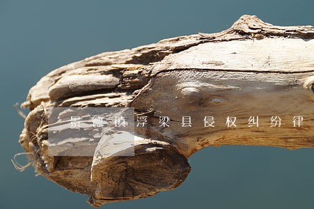景德镇浮梁县侵权纠纷律师服务 景德镇浮梁县侵权纠纷律师服务