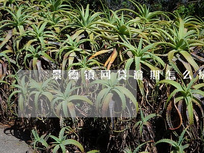 景德镇网贷逾期怎么协商还款 景德镇网贷逾期怎么协商还款