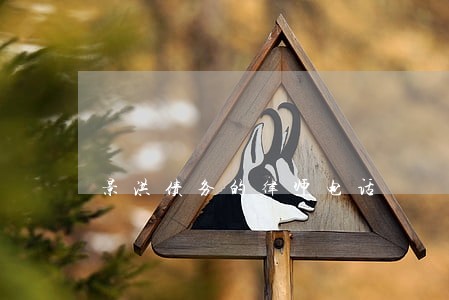 景洪债务的律师电话 景洪债务的律师电话