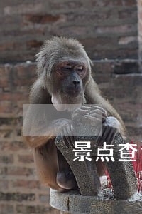 景点查询征信逾期 景点查询征信逾期