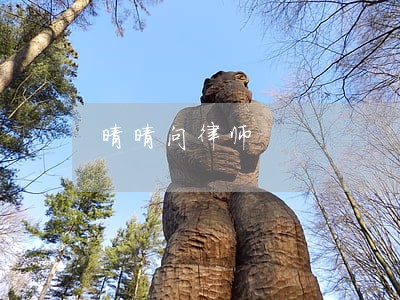 晴晴问律师 晴晴问律师