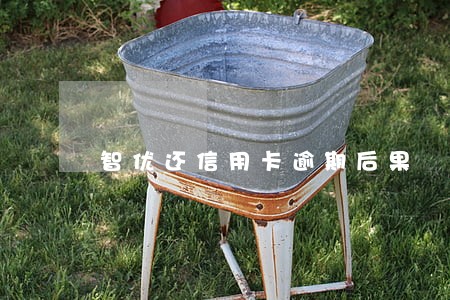 智优还信用卡逾期后果 智优还信用卡逾期后果