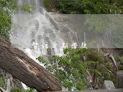 智信逾期借款 智信逾期借款