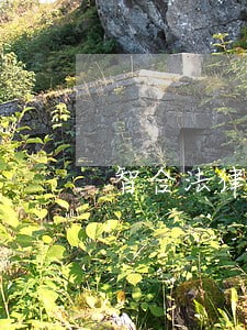 智合法律咨询有限公司 智合法律咨询有限公司