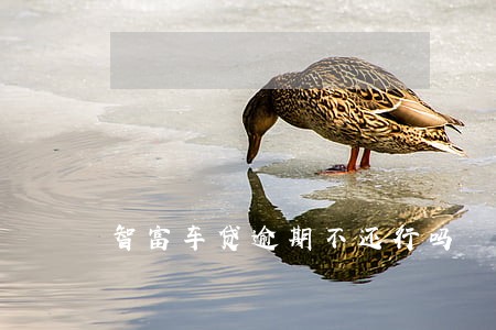 智富车贷逾期不还行吗