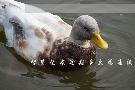智慧亿家逾期多久爆通讯录 智慧亿家逾期多久爆通讯录