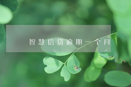 智慧信贷逾期一个月 智慧信贷逾期一个月