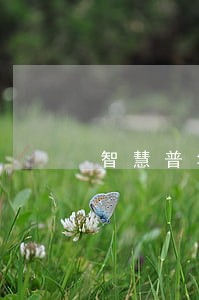 智慧普华汽车分期逾期半个月 智慧普华汽车分期逾期半个月