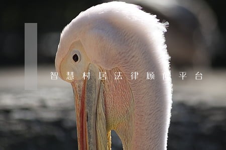 智慧村居法律顾问平台 智慧村居法律顾问平台