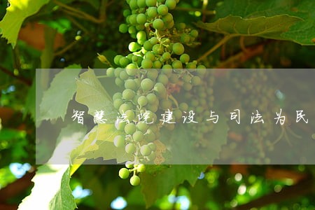 智慧法院建设与司法为民 智慧法院建设与司法为民