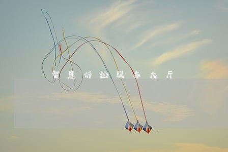 智慧诉讼服务大厅 智慧诉讼服务大厅
