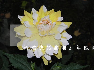 智瑞快贷逾期2年能协商吗 智瑞快贷逾期2年能协商吗