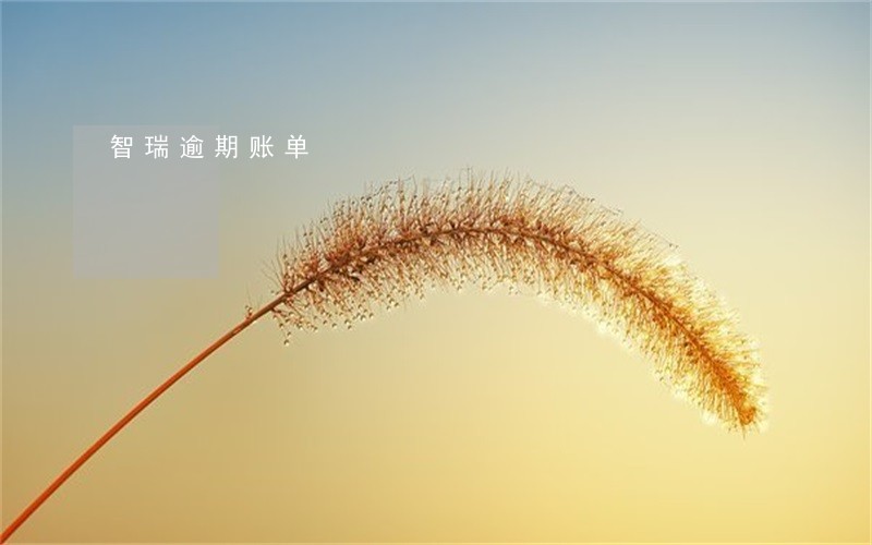 智瑞逾期账单 智瑞逾期账单