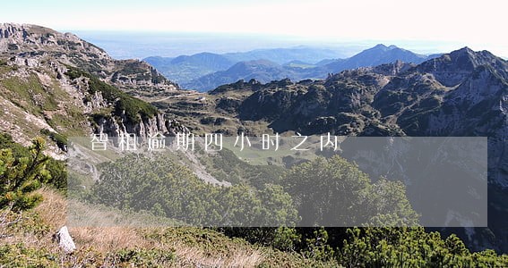 智租逾期四小时之内 智租逾期四小时之内