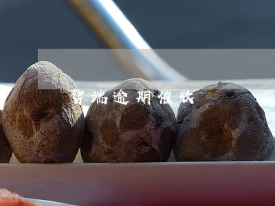 智端逾期催收