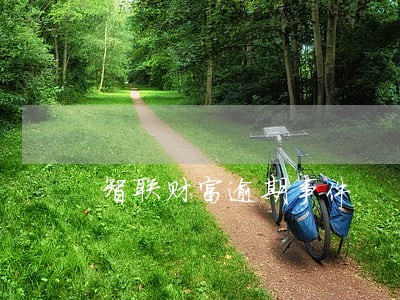 智联财富逾期事件 智联财富逾期事件