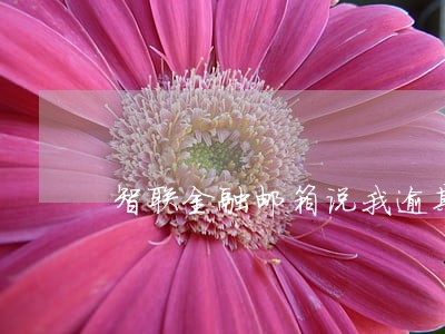 智联金融邮箱说我逾期