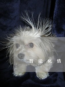 智能化债务债权律师报价方案 智能化债务债权律师报价方案