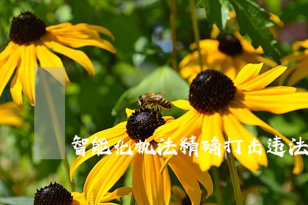 智能化执法精确打击违法车辆 智能化执法精确打击违法车辆