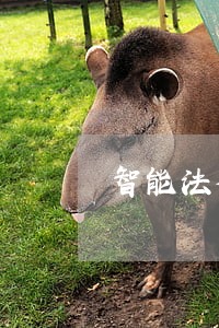 智能法律咨询业务流程 智能法律咨询业务流程