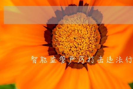 智能监管严厉打击违法行为 智能监管严厉打击违法行为