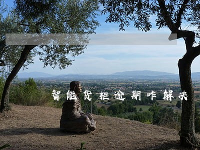 智能货柜逾期咋解决 智能货柜逾期咋解决