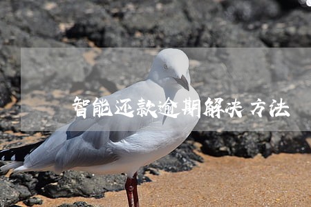智能还款逾期解决方法