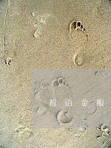智语金服发短信说我逾期 智语金服发短信说我逾期
