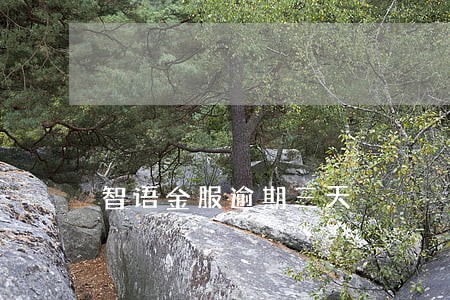 智语金服逾期三天 智语金服逾期三天