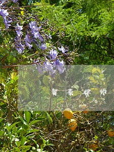智豪律师事务所百家号 智豪律师事务所百家号