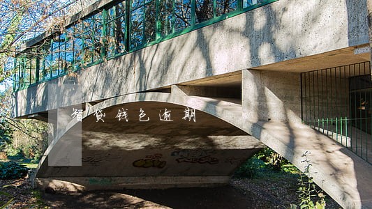 智贷钱包逾期