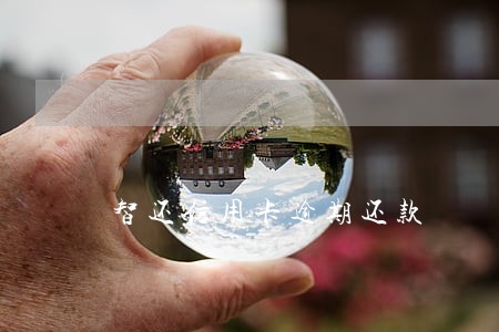 智还信用卡逾期还款 智还信用卡逾期还款